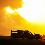 Flickr photo 21-DSC_0951