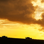 Flickr photo 21-DSC_0681