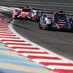 Flickr photo 23-1MDH3780