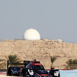 Flickr photo 22-1MDH3319