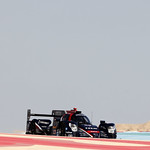 Flickr photo 23-1MDH3018