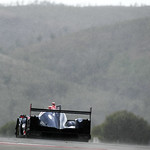 Flickr photo 22-DSC_3556