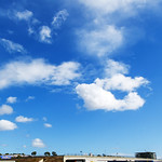 Flickr photo 22-DSC_8995