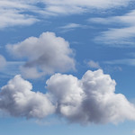 Flickr photo 21-0Q3A9328