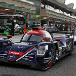 Flickr photo 22-3MDH7689