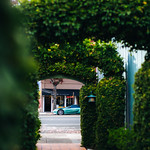 Flickr photo 11102023-VelocityInvitational-2542