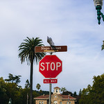 Flickr photo 11102023-VelocityInvitational-2550