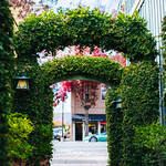 Flickr photo 11102023-VelocityInvitational-2545