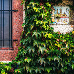 Flickr photo 11102023-VelocityInvitational-2494