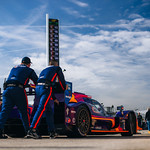 Flickr photo ROAR_011924-3118