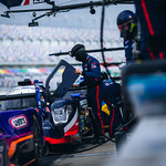 Flickr photo ROAR_011924-21247