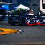 Flickr photo ROAR_012024-6519