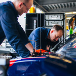 Flickr photo ROAR_011824-1910