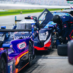 Flickr photo ROAR_011924-21249