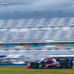 Flickr photo ROAR_011924-21936