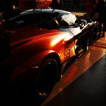 Flickr photo 95-7B1A0822