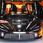 Flickr photo 95-7B1A2179