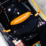 Flickr photo 59-0Q3A3932 (1)