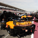 Flickr photo 95-7B1A4346