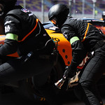 Flickr photo UA-7B1A9696