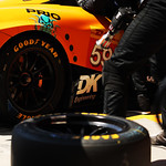 Flickr photo 59-7B1A9618