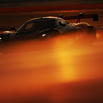 Flickr photo 95-0Q3A3736