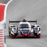 Flickr photo 21-DLP71228