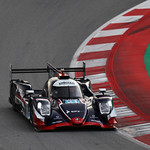 Flickr photo 21-0Q3A8120