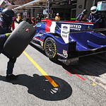 Flickr photo 21-0Q3A0555