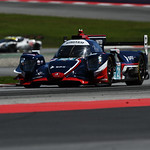 Flickr photo 21-DSC_9544