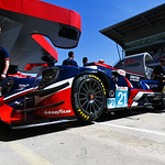 Flickr photo 21-DSC_8501