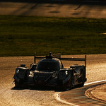 Flickr photo 21-DSC_3581