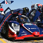 Flickr photo 21-DSC_0653