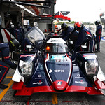 Flickr photo 21-7B1A1832