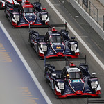 Flickr photo 21-0Q3A5697