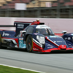 Flickr photo 21-DLPX2155