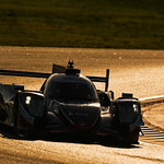 Flickr photo 21-DSC_3523