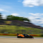 Flickr photo 95-DSC_2418