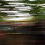 Flickr photo 95-95-7B1A0337