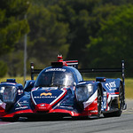 Flickr photo 23-DSC_5462