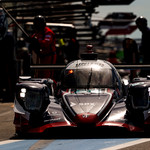 Flickr photo 23-1MDH8189