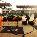 Flickr photo 95-7B1A1714