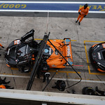 Flickr photo 95-0Q3A8131