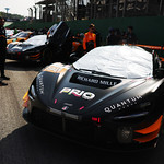 Flickr photo 95-7B1A0596