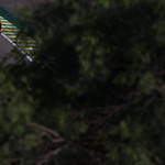 Flickr photo 95-0Q3A7744