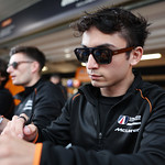 Flickr photo 95-NP-0Q3A8981