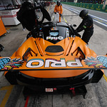 Flickr photo 95-7B1A0539