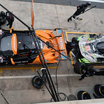 Flickr photo 59-0Q3A7977