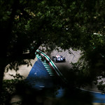 Flickr photo 21-1MDH9957