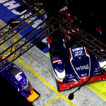 Flickr photo 22-2MDH5818